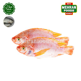 MIRAE 冷凍ティラピア 500g (1+1) 1kg テラピア 販売 (在庫あり) 