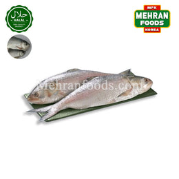 MIRAE Frozen Fresh Hillsha Fish 1.2kg (1+1) 2.4kg 냉동 힐샤 피쉬 (청어) 생선