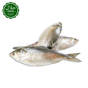 MIRAE Frozen Hilsha Fish (Myanmar) 790g 냉동 힐샤 생선 (미얀마 산)