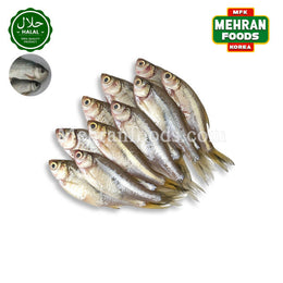 MIRAE 冷凍フレッシュマンボラフィッシュ（インドコイ）250g 냉동 잉어（생선）