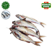 MIRAE Frozen Fresh Gulsha Fish 900g (1+1) 1800g / 신선한 굴샤 피쉬 (방글라데시 산) 생선
