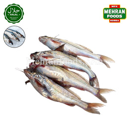 MIRAE Frozen Fresh Gulsha Fish 900g (1+1) 1800g / 신선한 굴샤 피쉬 (방글라데시 산) 생선